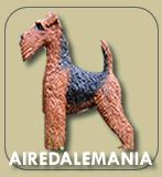 AIREDALEMANIA: la manía de ver todo color Airedale