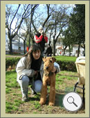 Foto de Airedale Terrier / María Julia junto a Lennon